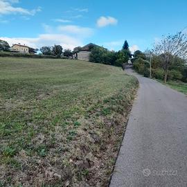terreno fabbricabile 
