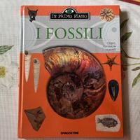 Libro sui Fossili