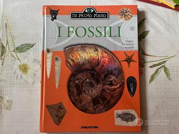 Libro sui Fossili