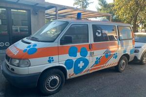 Ambulanza Veterinaria