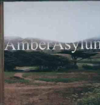Amber Asylum - The Supernatural Parlour .cd