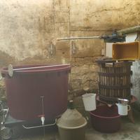 KIT COMPLETO O SEPARATI PER FARE VINO E POMODORI !