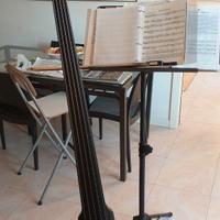 Contrabbasso elettrico Ns Design 5 corde NXT5 DB