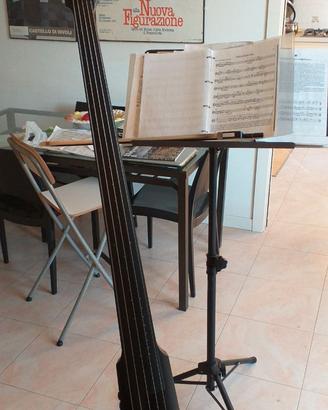 Contrabbasso elettrico Ns Design 5 corde NXT5 DB