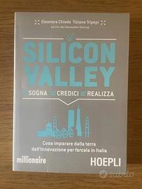 Silicon Valley. Sogna, credici, realizza