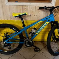 Bici mtb Lombardo ruota 24