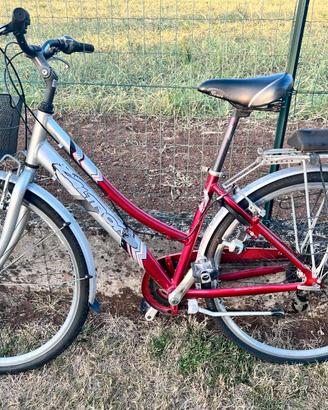 bicicletta donna 