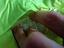 Immagine 2