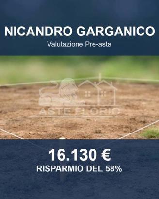 Immobile in asta di 850 m² a San Nicandro Garganic