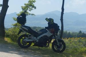 moto Suzuki 