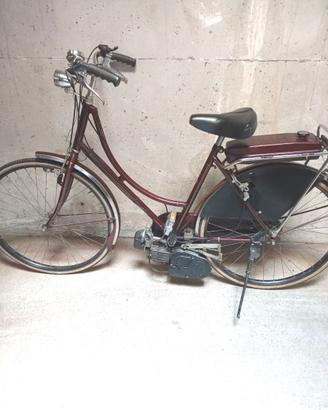 Bicicletta a motore