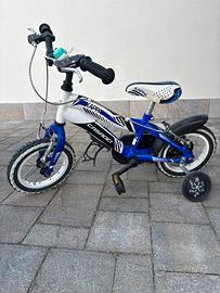 Bicicletta casadei