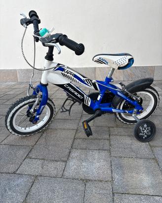 Bicicletta casadei