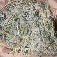 Fieno di campo al naturale