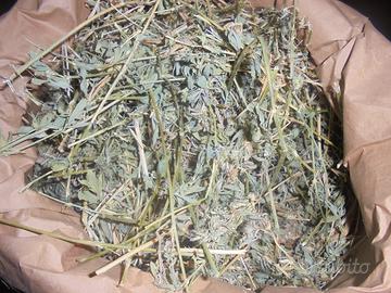 Fieno di campo al naturale