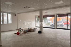 Negozio a Sissa Trecasali Viale Don Minzoni