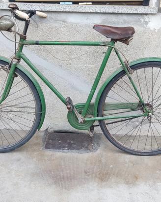 bici Cicli Robur