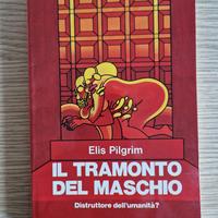 IL TRAMONTO DEL MASCHIO