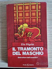 IL TRAMONTO DEL MASCHIO