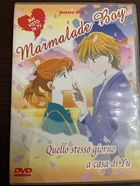 Dvd raro Marmalade boy