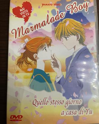 Dvd raro Marmalade boy