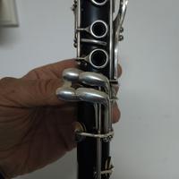clarinetto in Sib da studio della "Magenta Wind" 