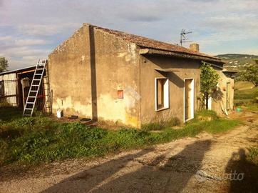 RUSTICO A TORRECUSO