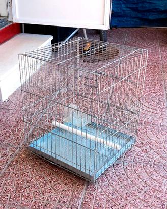 GABBIA/VOLIERA PER UCCELLI