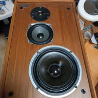 CELESTION DITTON 22