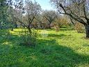 rustico-a-castel-sant-elia
