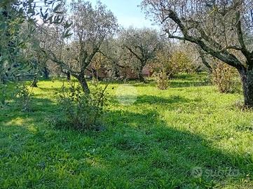RUSTICO A CASTEL SANT'ELIA