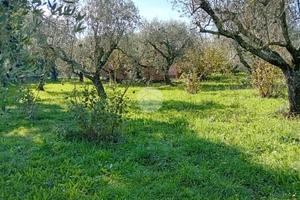 RUSTICO A CASTEL SANT'ELIA