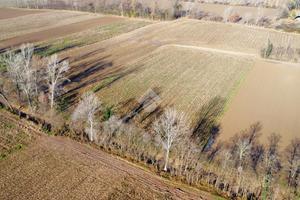 TER. AGRICOLO A CASTELFRANCO VENETO