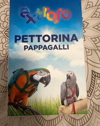 Pettorina inseparabile