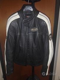 giacca moto pelle spidi donna 