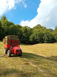 trattore agricolo