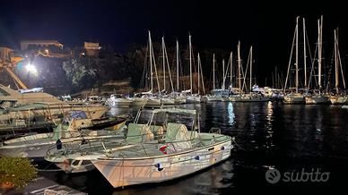 Barca Poseidon Nemesis 23