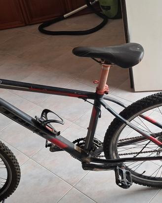 Bicicletta Trek