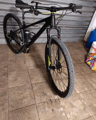 mtb focus raven