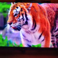 Smart tv Tizen 50 " pollici 4k