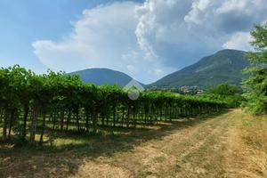 TER. AGRICOLO A CAPRINO VERONESE