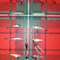 METAL JIG & WTD JERK SEIKA RAPTURE  IGNESTI