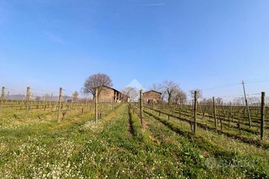 TER. AGRICOLO A CAPRIOLO