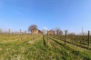 TER. AGRICOLO A CAPRIOLO