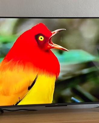 TV QLED 43" 4K