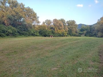 Terreno agricolo prosecco docg