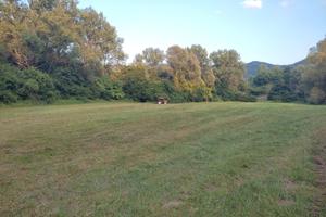 Terreno agricolo prosecco docg