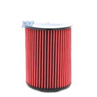 FILTRO ASPIRAZIONE DIRETTA FORD KUGA II 13-19