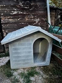 cuccia cane