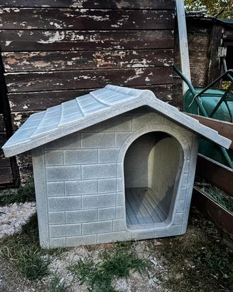 cuccia cane